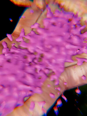 [Jayep]武林 17-20兵神怪坛_20-215