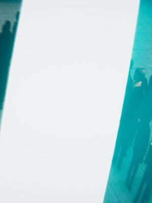 宠物捕捉大师33（完结）_155_154