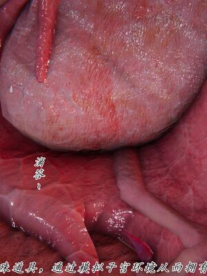 宠物捕捉大师33（完结）_178_177