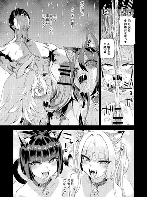 (C107) [Fatalpulse (朝凪)] 猫族娘はヒトを飼う_48