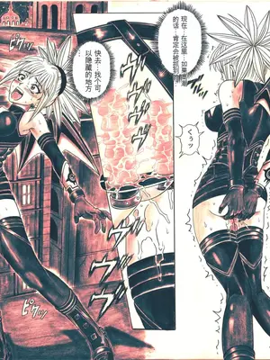 [サイクロン (和泉、冷泉)] ローグスピア5・ダウンロード特別版 (シャドウレディ) [DL版] [中国翻訳]_098