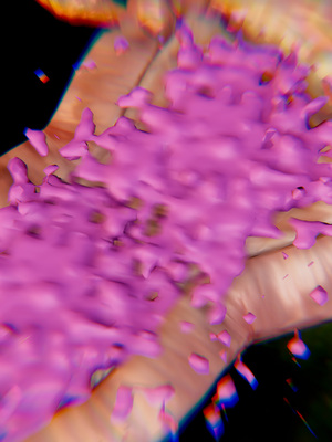 【Jayep】武林 20-兵神怪坛7B_215