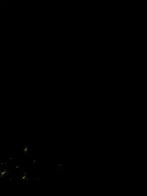 [しろくろうさ (スギユウ)] 魔法使い♀ちゃん、バッドエンドへの道 [中国翻訳]_379_vkgn