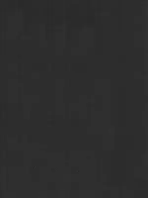 [ここのき奈緒] Second Virgin_219