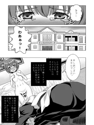 [しろみつ屋 (しろみつスザク)] ウチのメイドさんはちょっと変_04_efmw