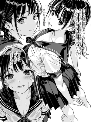 [炭焼きプリン (サボゲイル)] 敬語の抜けない従順な姪にえっちないたずら [DL版]_12_yrdl