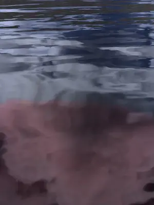 【Zking】瑶池I_00173