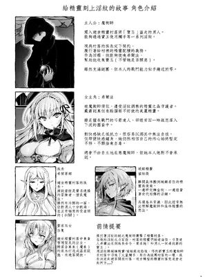 [にのこや (にの子)] エルフに淫紋を付ける本 LEVEL：9 [中国翻訳] [DL版]_02_uvxi