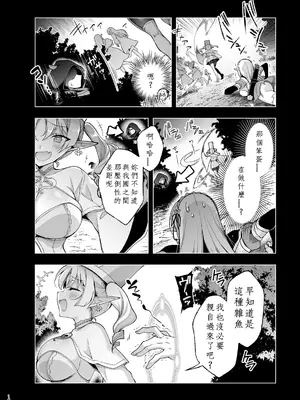 [にのこや (にの子)] エルフに淫紋を付ける本 LEVEL：9 [中国翻訳] [DL版]_12_pfnb