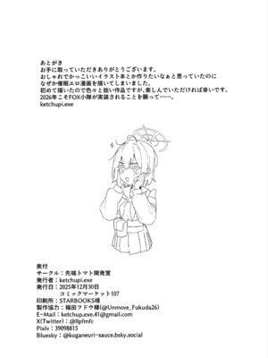 (C107) [先端トマト開発室 (ketchupi.exe)] サイコロジカルオペレーション! (ブルーアーカイブ)_25_tdiw