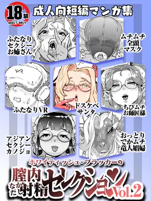 [ホワイティッシュ・ブラッカー (ANDO人)] 膣内射精セレクション Vol.2 [凑乎看个人汉化]