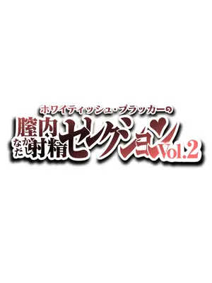 [ホワイティッシュ・ブラッカー (ANDO人)] 膣内射精セレクション Vol.2 [凑乎看个人汉化]_02_mvpb