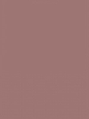 [韩漫] 大學生活就從社團開始 1-97 [中文][完结]_97_16