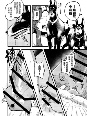 [樹蛙孤逃] 維茲與達克妮絲10個月盲盒 [中国語]_13_nikj