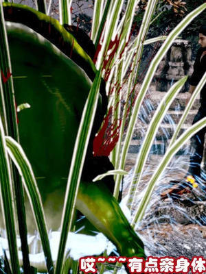 【耽溺】玉人何吹箫01-02_0028