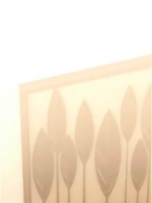 詛咒性轉物語 1-8話_07_01_momv