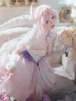 前野太太 - 崩坏三 爱莉希雅 流光之诗_12_gxdy