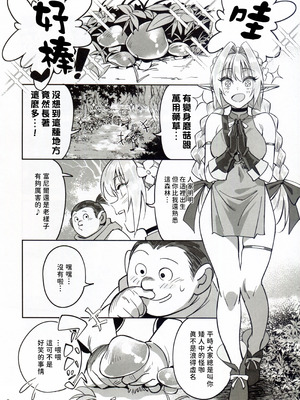 (C107) [ドクダミ (沖田あばば)] 可憐なエルフのあの娘が密猟者の人間にNTRれた話 [人類太可惡漢化]_06_mtbs