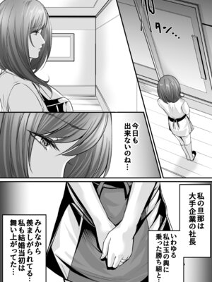 [あおいせな] 旦那の金で男を買う人妻～ひとみ～_10_hiss