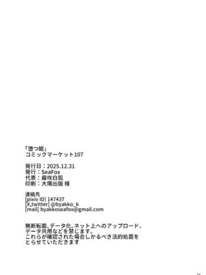 [SeaFox (霧咲白狐)] 堕つ姫 (ドラゴンクエスト II) [中国翻訳] [DL版]_21_xeat