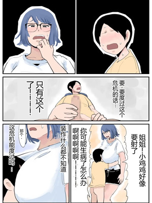 [ぐみちょこれーとぱいん] ぼくには姉がいます～まじめ長女と次女ヤンキー～ [没人汉化的我来汉化]_03_ubfp