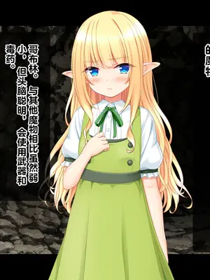 [スタジオ山ロマン (cccpo)] ゴブリンの孕み袋～さらわれたエルフの少女の飼育記録～ [中国翻訳]_012_tthh