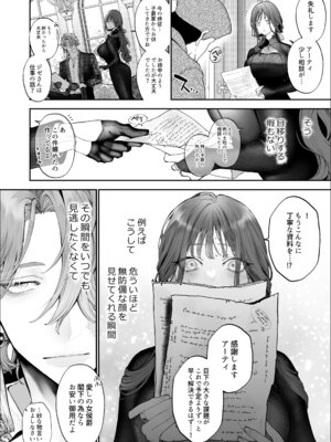 [ジャギ岩] 放蕩貴族は元王太子妃との孕ませ婚で忙しい [DL版]_079_vpsn