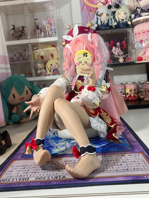 白栎Shirly - 崩坏：星穹铁道 风堇_072_dwpr