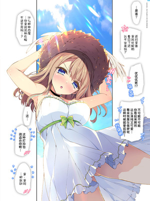 [わつき屋 (わつきるみ、結城成)] RE：COLORS!#06 キラキラkawaii! ブレイド大集合♪ (ゼノブレイドシリーズ) [DL版] [甜族星人x我不看本子汉化]_17_clog