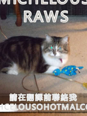 (C102) [インペリアルチキン (藤坂空樹)] 犬を拾ってもいいですか (機動戦士ガンダム 水星の魔女)｜可以撿這隻狗嗎 [中国翻訳]_23_xegh