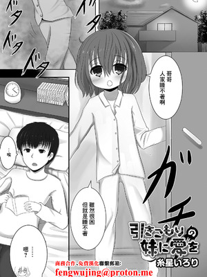 [糸星いろり] 引きこもりの妹に愛を (デジタルぷにぺどッ！ vol.17) [中国翻訳] [DL版]