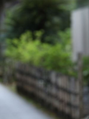 川崎あや 秘蔵アーカイブ総集編 PREMIUMデジタル写真集_110