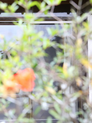 川崎あや 秘蔵アーカイブ総集編 PREMIUMデジタル写真集_118