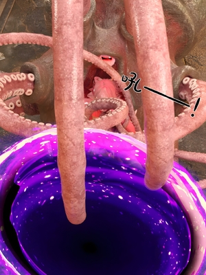 [Kui]魔法少女：终末_143