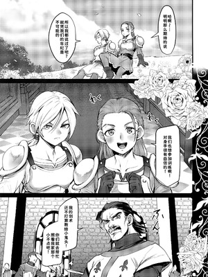 (TWINKLE MIRAGE 10) [屑屋 (利行)] 一緒につくろう! (ドラゴンクエストXI) [廉价汉化组]_03_lhit