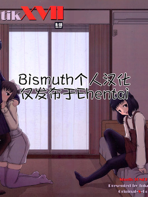 (C79) [Studio30NEKO (ふくのつくりべ)] Mromantik XVII [Bismuth个人汉化]