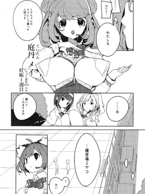 (C107) [ぽてとさらだ (ヒめくり)] 住めばミヤコ! Vol.4_05_eitg