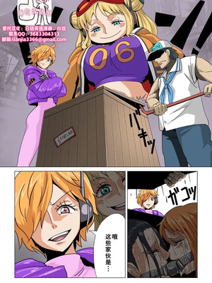 [ショキガタ18] 尋問されるナミとロビン 2 [廉价汉化组]