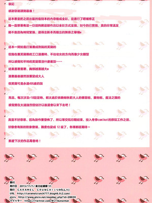 (紅楼夢11) [CARAMEL CRUNCH! (りかたん☆)] 子供じゃないもんっ! (東方Project)｜才不是小孩子! [明稿昨拖汉化组]_11