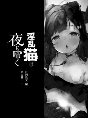 [ぱんだりっくす (ごーごーぱんだ)] 淫乱猫は夜に啼く 肛門性交編 PART1｜淫乱之猫于夜晚啼叫 肛门性交篇 PART 1 [欶澜汉化组] [DL版]_03_muir