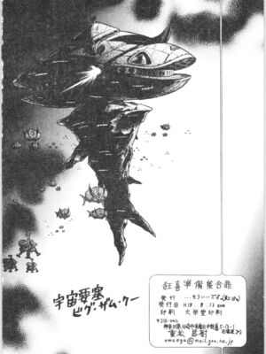 [灰羽社汉化组] (C70) […もういいです。 (神武裕仁)] 狂喜準備集合罪 (らんま1／2)_25