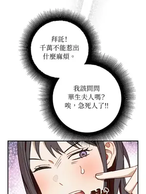 葡萄園的葛蕾絲 1-15話[完結]_008041