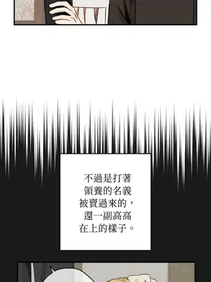 葡萄園的葛蕾絲 1-15話[完結]_014052