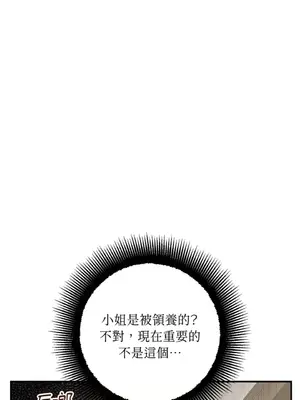 葡萄園的葛蕾絲 1-15話[完結]_014059