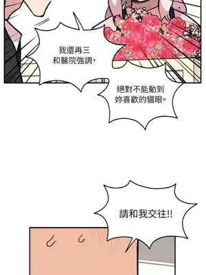 需要力量的事情，都交給我吧！ 1-81話_2039034