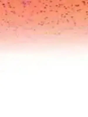 蹂躪我吧，聖騎士 1-5話[完結]_005040