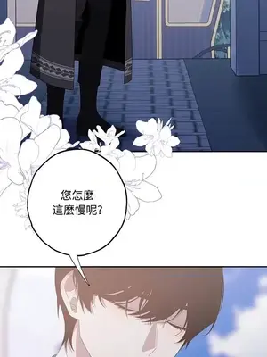 蹂躪我吧，聖騎士 1-5話[完結]_005042