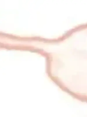 野狗侯爵XX公主 5+3話[完結]_2001036