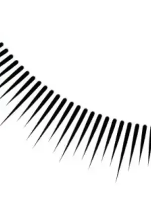 野狗侯爵XX公主 5+3話[完結]_2001070