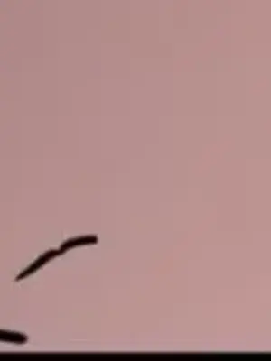 Cosplay女友 1-19話[完結]_003070